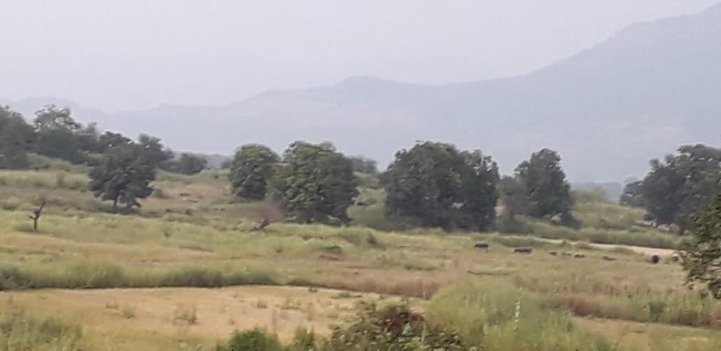 Karjat Mountain Villa Zewnętrze zdjęcie